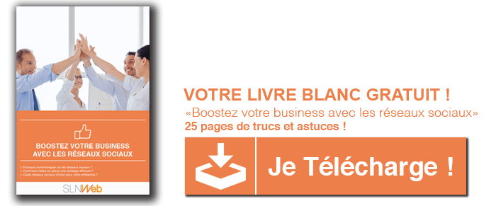 bien communiquer sur les reseaux sociaux livre blanc