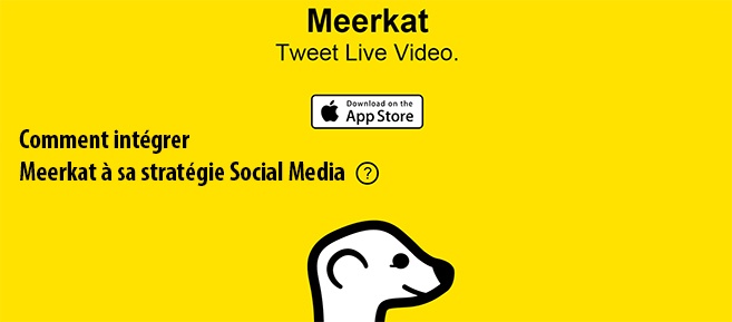 Comment utiliser Meerkat