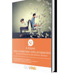 comment bien prospecter a lheure internet et reseaux sociaux - livre blanc