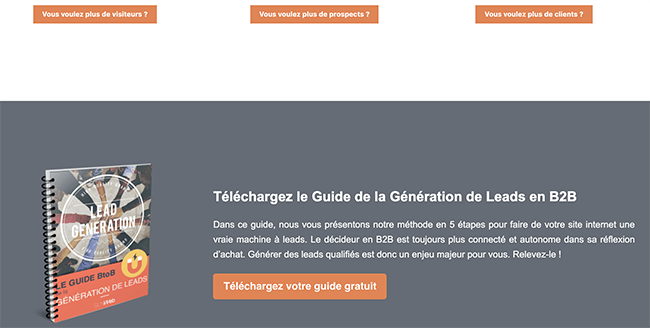 comment nous generons des leads avec notre homepage
