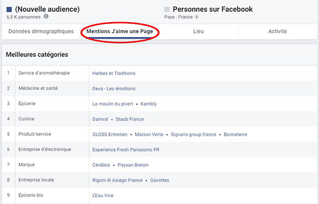 facebook audience insights comment faire