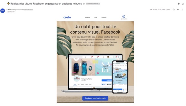 exemple de newsletter chez Crello