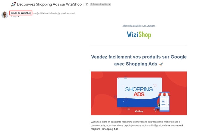 Exemple de newsletter chez Wizishop