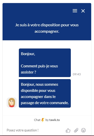 Exemple de chatbot sur un site e-commerce