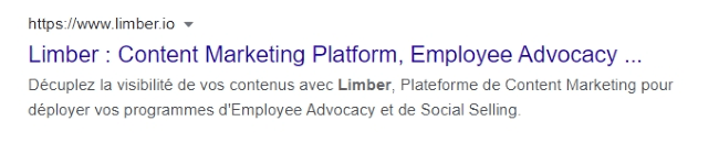 Un exemple de meta description pour une page d'accueil